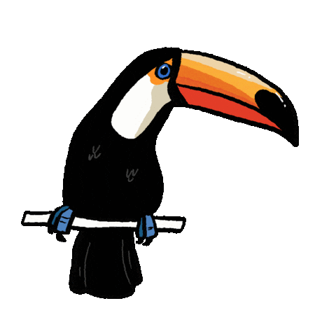 Birdtalk Sticker by girlinwhiteglasses