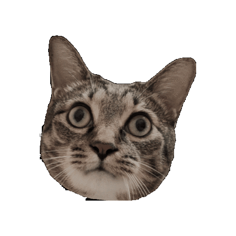 Kycalone Sticker