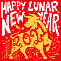 New Year Festival GIF by INTO ACTION