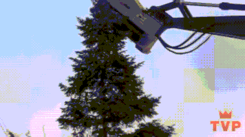 tree cutting GIF