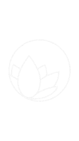 Detailing Car Wash Sticker by Nanolex Saarbrücken