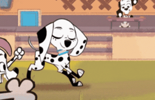 Dance Dancing GIF