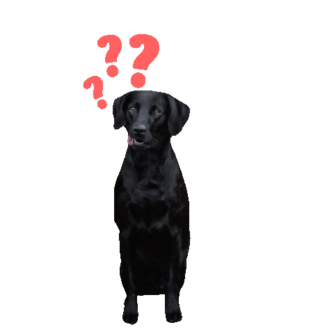 Sticker by DER HUND - das Magazin