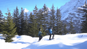 Snow Snowshoeing GIF by Jungfrau Region