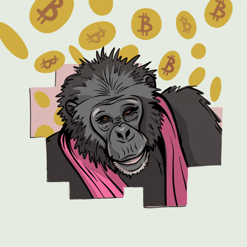 Crypto Bitcoin GIF by Save the Chimps