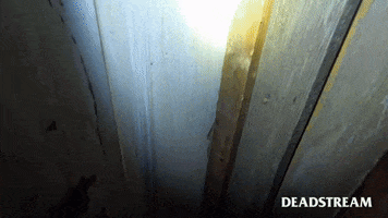Soar Haunted House GIF by Deadstream