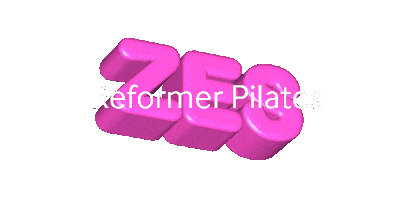 Reformer Pilates Sticker by ZES