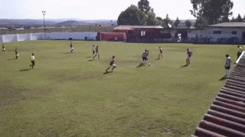 Kojo GIF