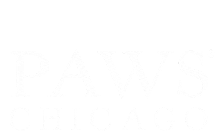 Dog Adopt Sticker by Merrick Pet Care