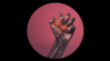 Orange Hand GIF by Dangerbird Records