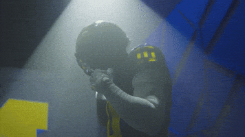 Go Blue Michigan Football GIF by Michigan Athletics