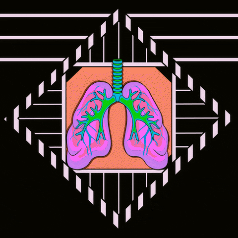 Lungs GIF by Grande Dame