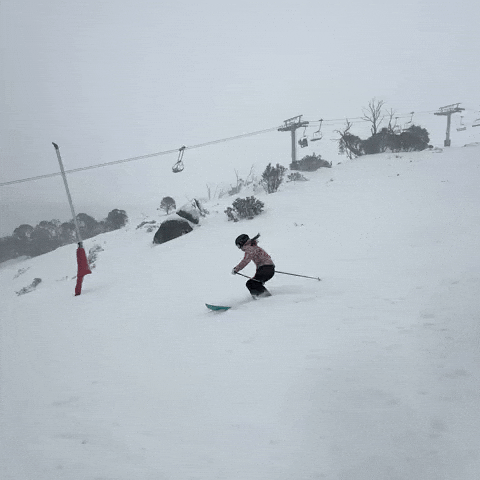 GIF by Thredbo