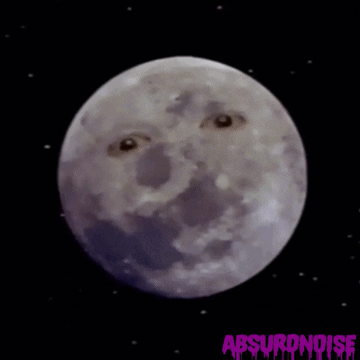 1980s tv GIF by absurdnoise