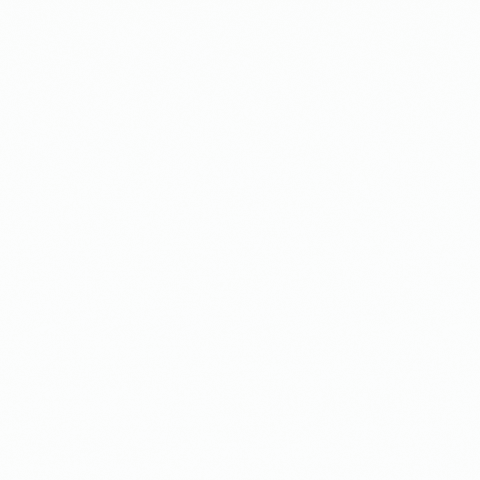 Sampa's Pizza GIF