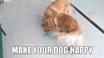 Leaced GIF