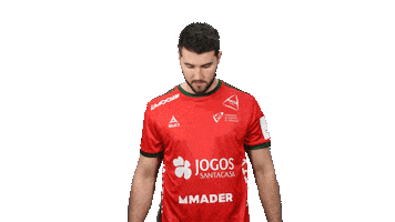 Letsgovamos Sticker by Federação de Andebol de Portugal