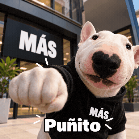 De Acuerdo Concuerdo GIF by INMOBILIARIA MAS