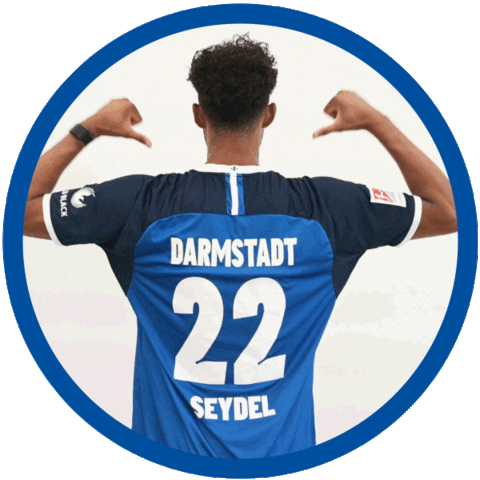 2 Bundesliga Football Sticker by SV Darmstadt 1898 e.V.