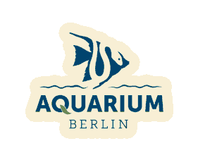 Logo Sticker Sticker by Zoo Berlin