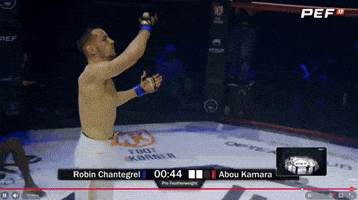 Mma Robin GIF by Old School Academy
