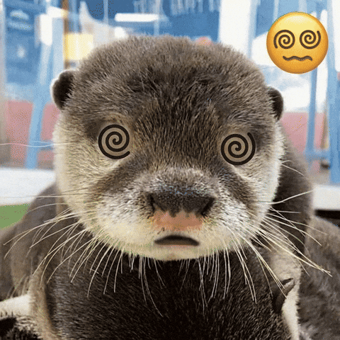 Otter GIF