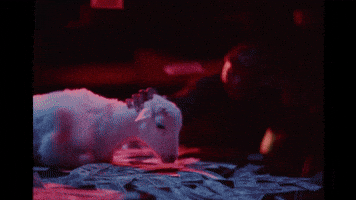 Trompe Loeil GIF by untiljapan