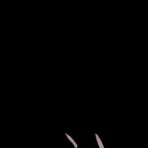 Derby Union GIF