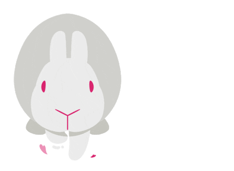 rabbit gif tumblr