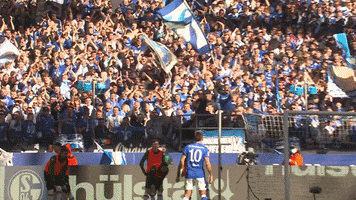 Football Sport GIF by FC Schalke 04