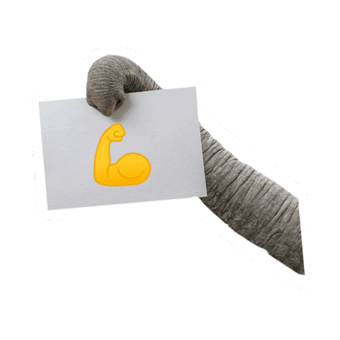 Trunk Feelthepower Sticker by Caparol Deutschland