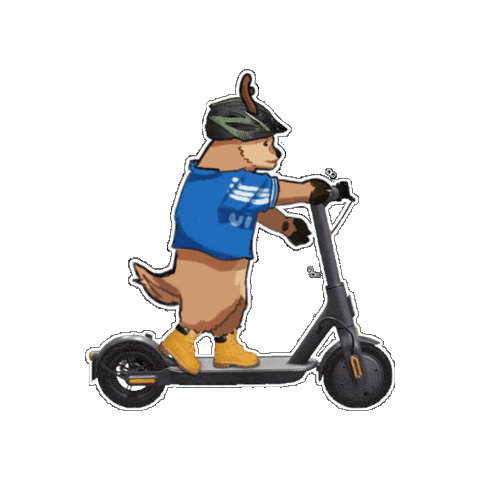 Encamino Vamos Sticker by Upsin