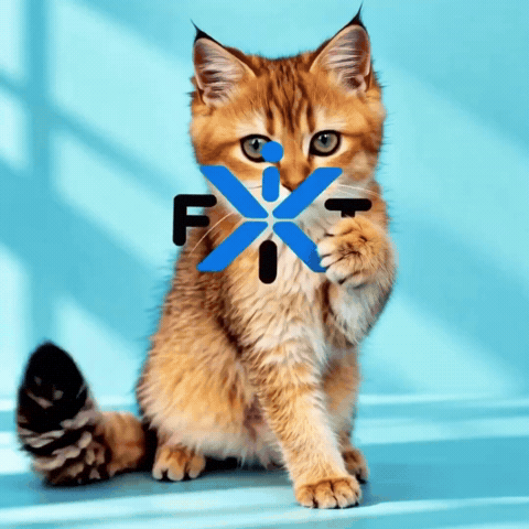 Cat GIF by iFitX