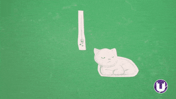 Cat Animation GIF by School of Computing, Engineering and Digital Technologies
