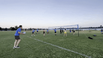 Volleyball GIF by Volo Sports