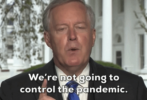 Mark-meadows GIFs - Find & Share on GIPHY