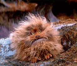 Movie gif. Fizzgig from The Dark Crystal widen his eyes with shock. He opens his mouth and screams, stamping his feet up and down like he’s having a temper tantrum. 