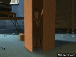 party arrival GIF