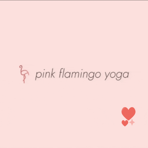 Pink Flamingo Yoga GIF