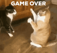 Cute-game GIFs - Get the best GIF on GIPHY