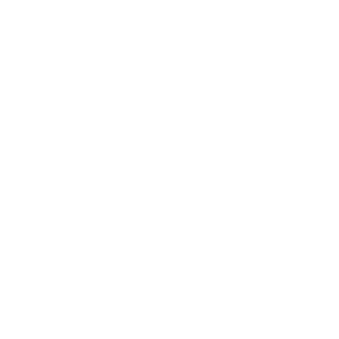CAM Raleigh Sticker