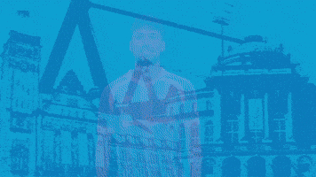 Football Tor GIF by ChemnitzerFC