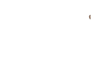Ppp D3 Sticker by Albion College