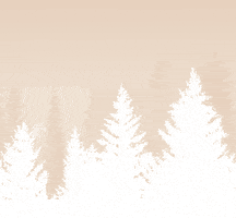 pine trees landscape GIF by Calvin Klein