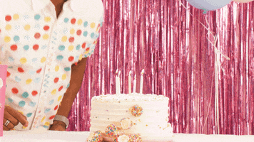 Happy Birthday Party GIF by Stuffed Puffs