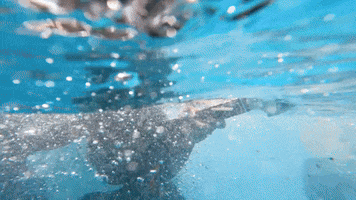 Guitar Swimming GIF by Topshelf Records