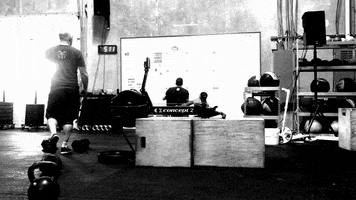 jasherman  GIF