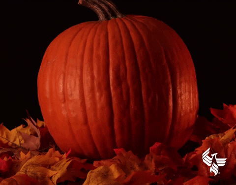 Trick Or Treat Halloween GIF by University of Phoenix - Find & Share on GIPHY