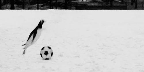 Soccer Running GIF