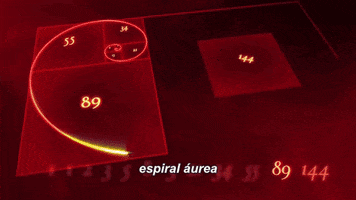 mcarmengon vila fibonacci espiral ÃƒÂ¡urea GIF